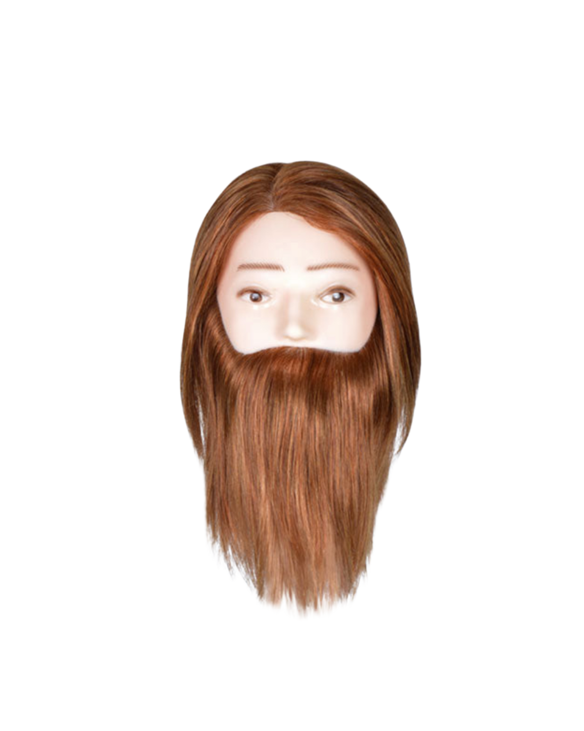 Cabeça académica de cabelo + barba + Suporte de mesa